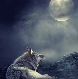 Meet your Posher, Candace